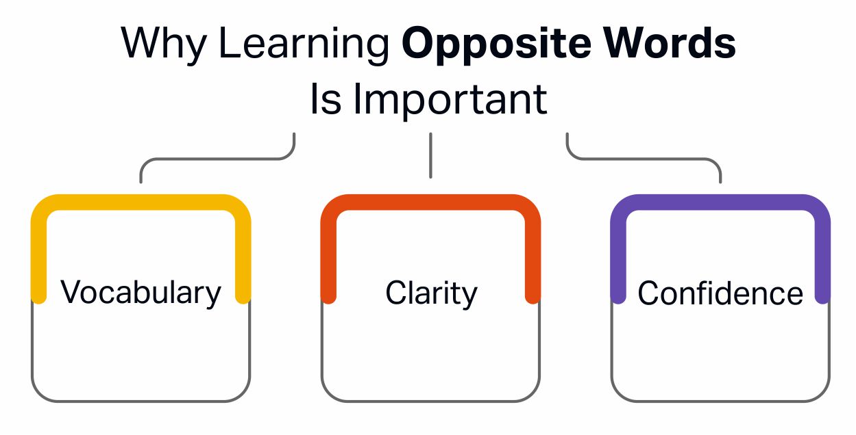 Opposite Words in English: Building Strong Vocabulary Skills Why Learning Opposite Words Is Important